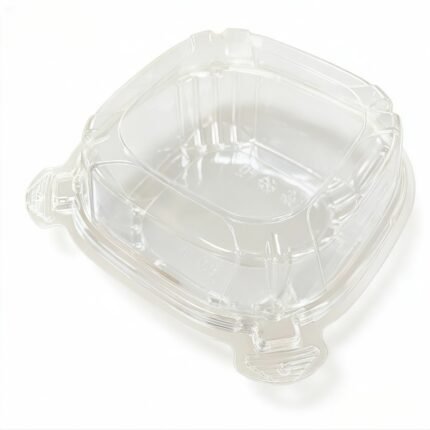 PP-6x6 Inches Clear Disposable Plastic To-Go Containers Leak-Resistant and Durable for Cakes Salads Small Sandwiches (GA-120)